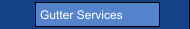 Gutter Services